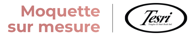 logo Tesri